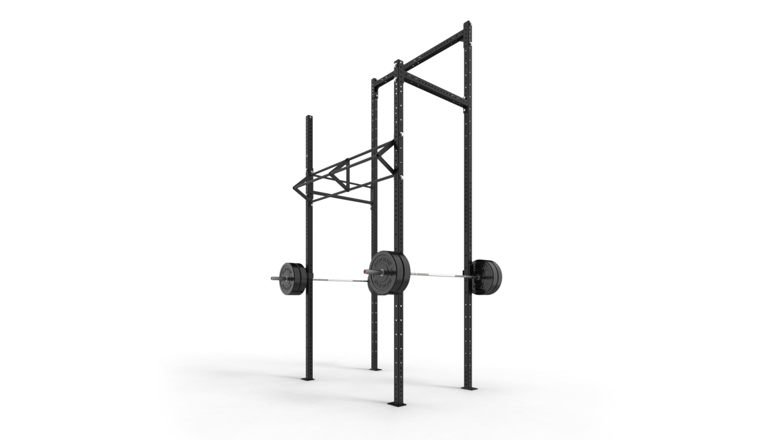 Rogue V2 Castro Rig Strength Training Rogue Fitness